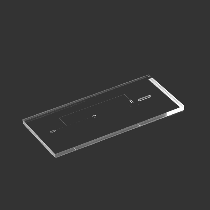 Chip e dispositivi microfluidici
