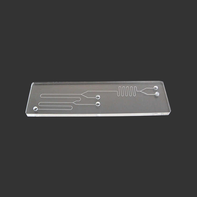 Chip e dispositivi microfluidici